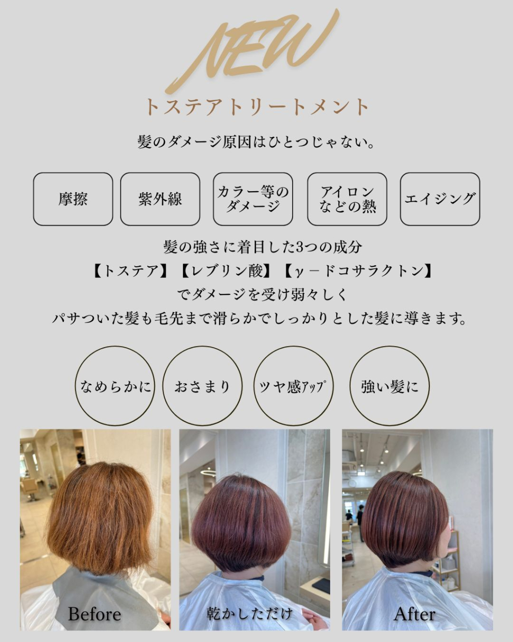 神楽坂トステア①