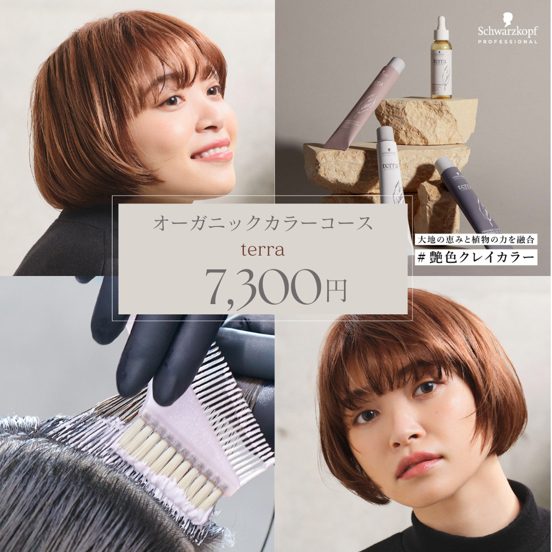 Terra（橋本店）